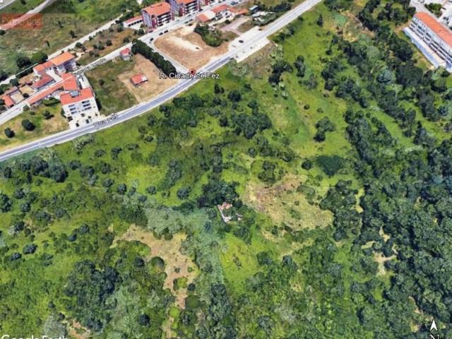 Coimbra Coimbra 102045199