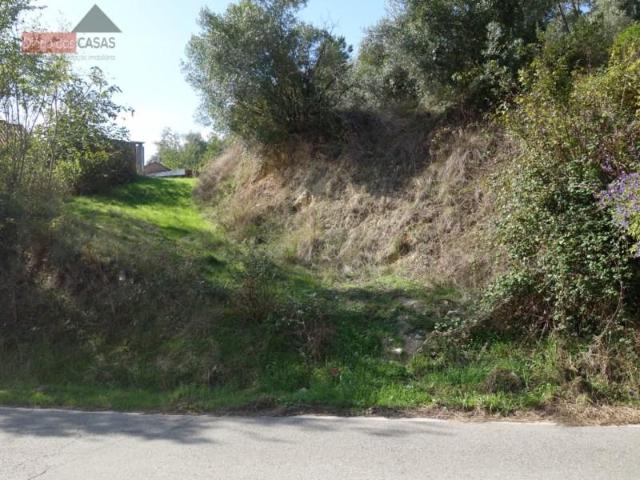 Coimbra Coimbra 102045202