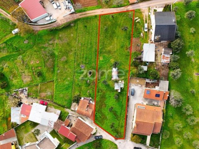 Coimbra Coimbra 103309226