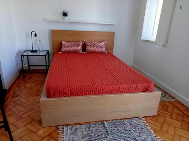 Coimbra Coimbra 103336856
