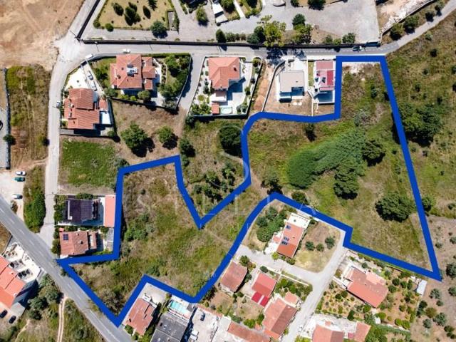 Coimbra Coimbra 103404996