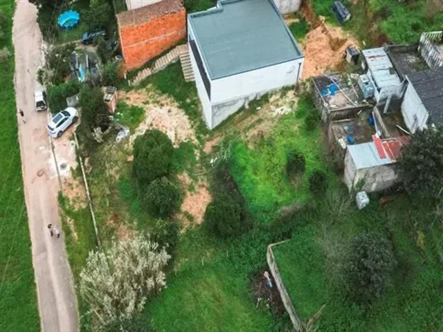 Coimbra Coimbra 103524849
