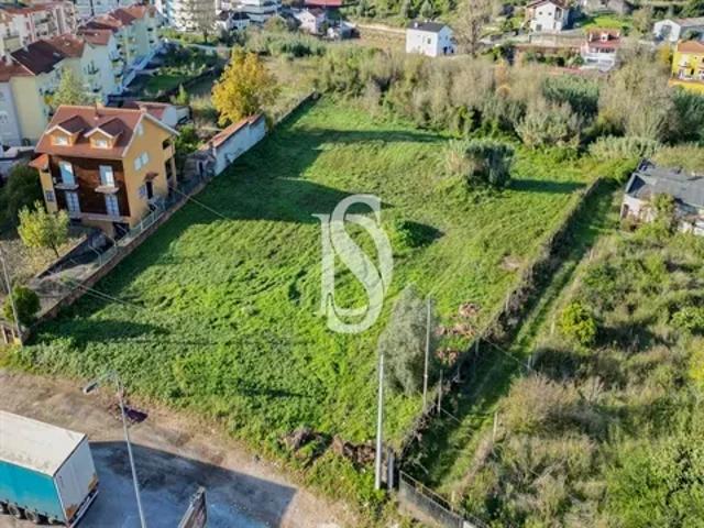 Coimbra Coimbra 103540661