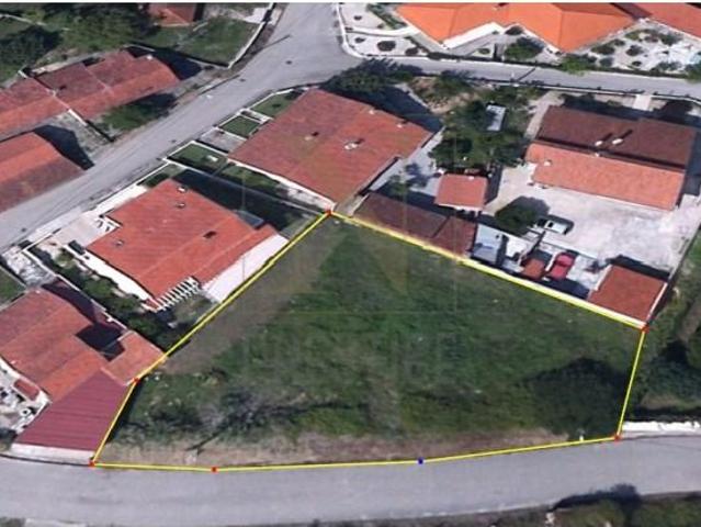 Coimbra Coimbra 103860870