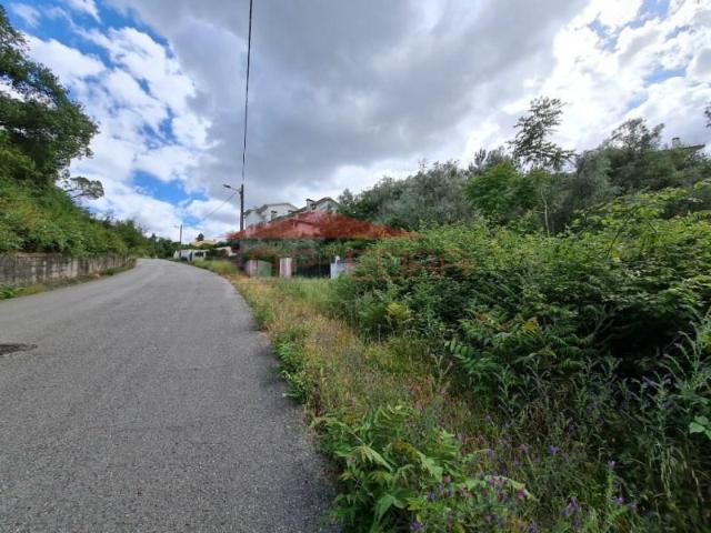 Coimbra Coimbra 3040 97124663