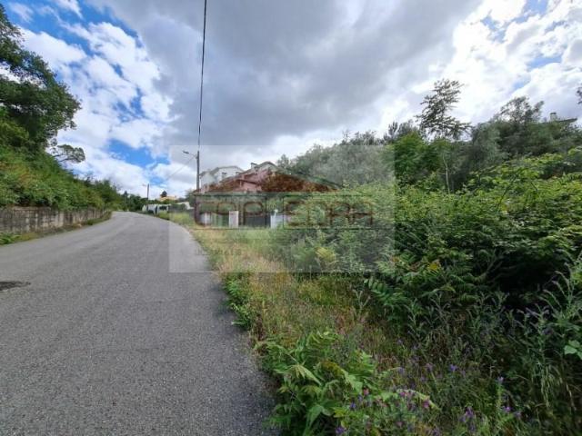 Coimbra Coimbra 3040 104240873