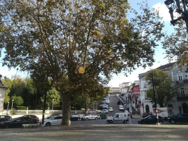 Coimbra Coimbra 3000 99721077