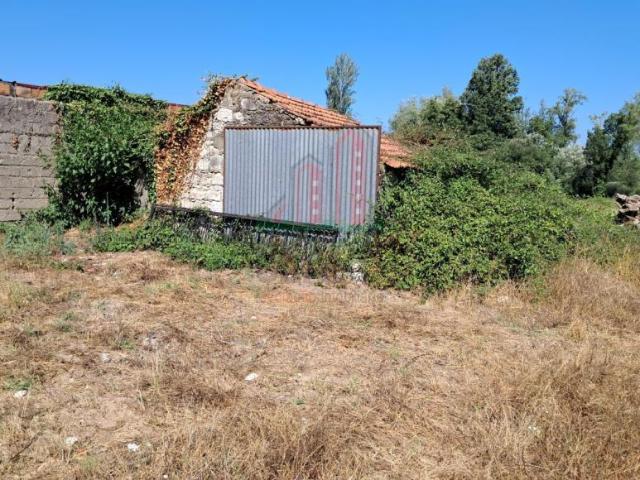 Coimbra Coimbra 3025 LS100250255