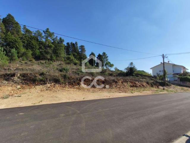 Coimbra Coimbra 54729834