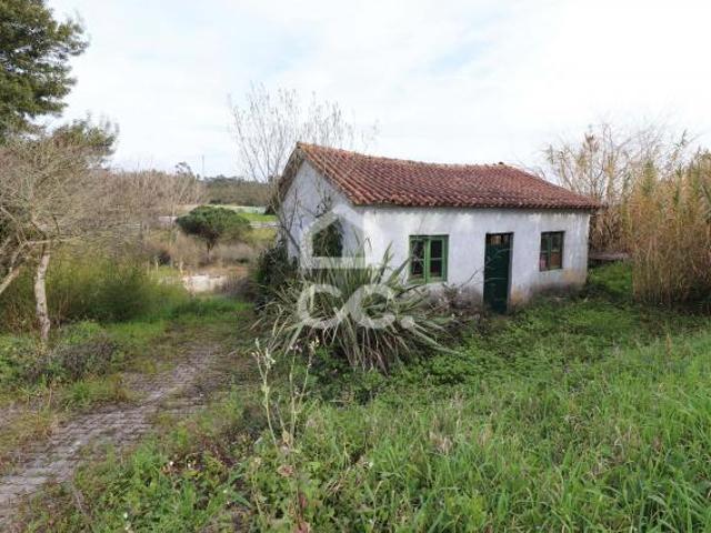 Coimbra Coimbra 60080252