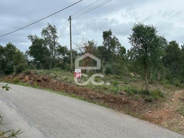 Coimbra Coimbra 69804935