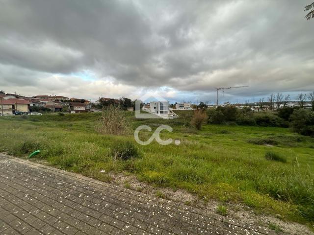 Coimbra Coimbra 75071385