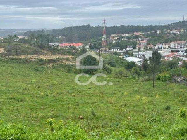 Coimbra Coimbra 75071391