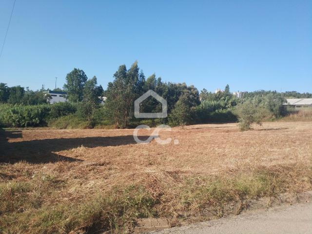 Coimbra Coimbra 79804591