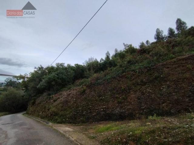 Coimbra Coimbra 87077138