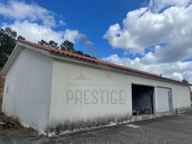 Coimbra Coimbra 87143669