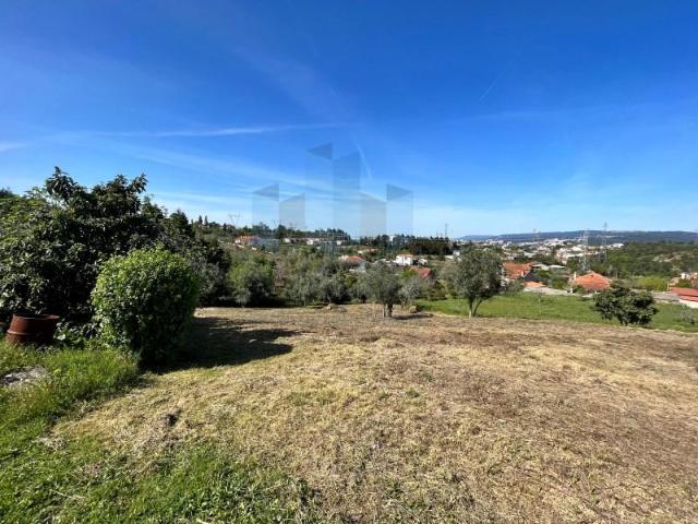 Coimbra Coimbra 95417215