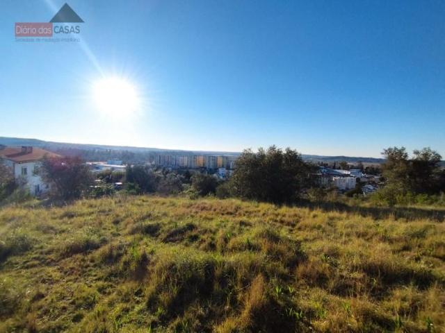 Coimbra Coimbra 96660242