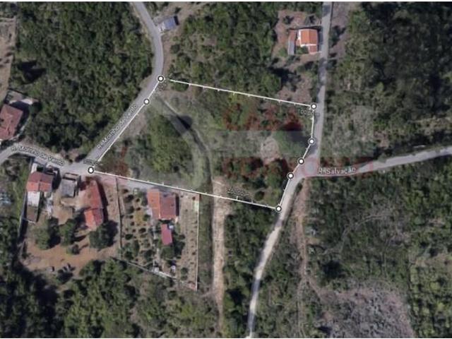 Coimbra Coimbra 97123703