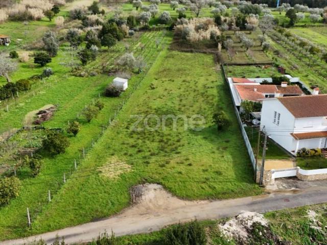 Coimbra Coimbra 98824456