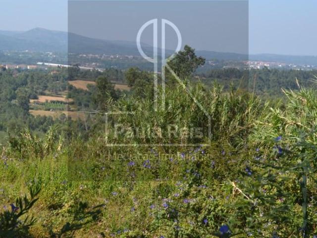 Coimbra Coimbra LS100142513