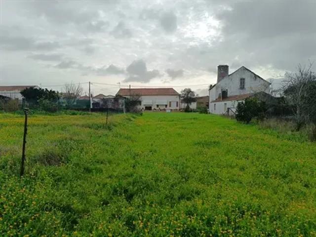 Coimbra Figueira da Foz 103529418