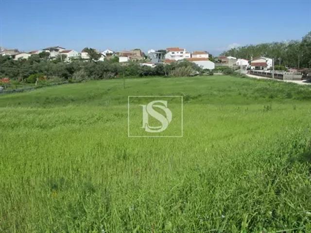 Coimbra Figueira da Foz 103531673