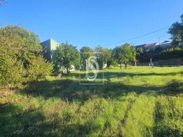 Coimbra Figueira da Foz 103531744