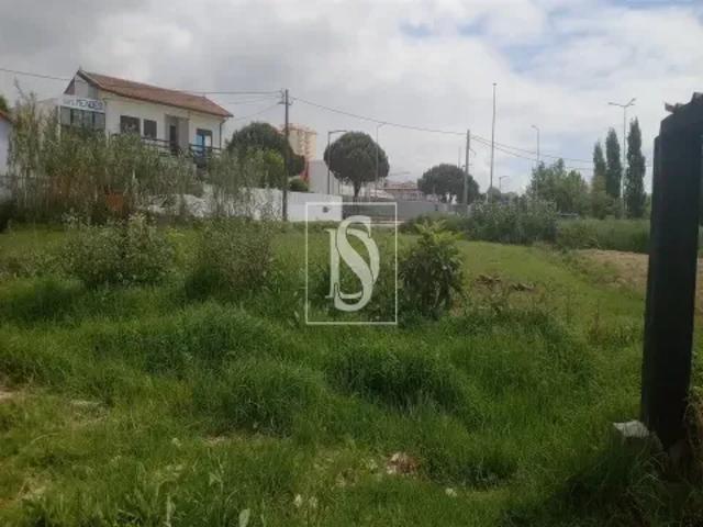 Coimbra Figueira da Foz 103540509