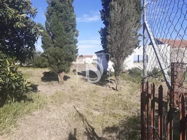 Coimbra Figueira da Foz 103540986