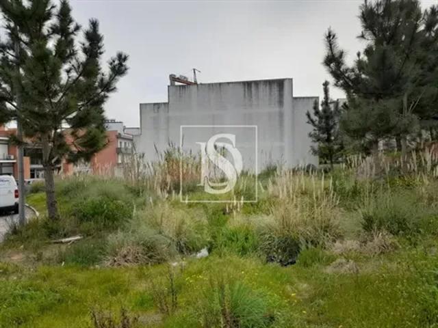 Coimbra Figueira da Foz 103555040