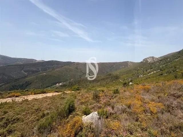 Coimbra Pampilhosa da Serra 104186033