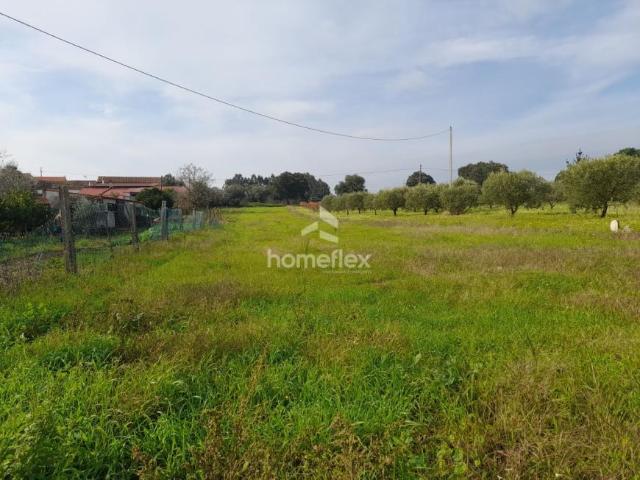 Coimbra Soure 3130 LS96841605