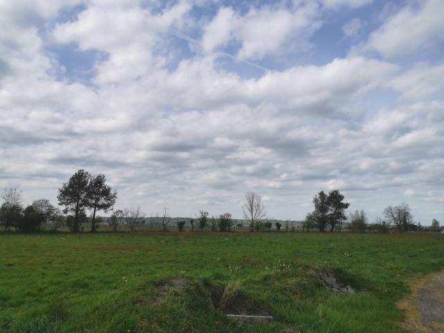 Coimères Vente Terrain 33