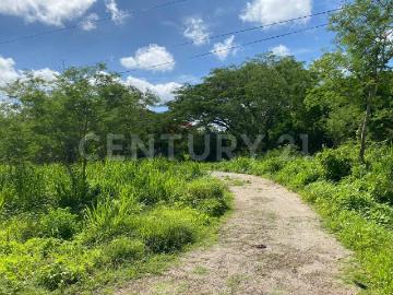 Terreno En Venta En Palomeque, Umán