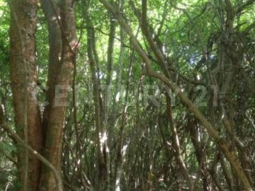 Terreno En Venta En Tixkokob, Tixkokob
