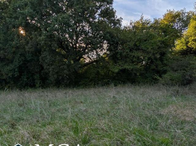 Colayrac Saint Cirq Vente Terrain 47