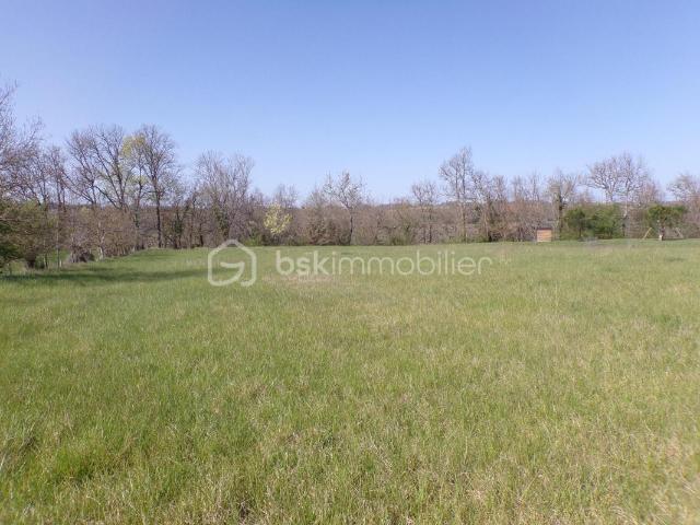 Colayrac Saint Cirq Vente Terrain 47