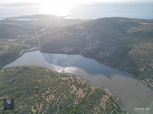 COLDWELL BANKER ROUTE DİKİLİ KATIRALANDA ACİL! SATILIK TARLA