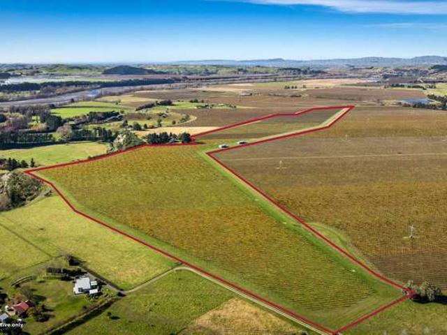 Colefield Vineyard, Aorangi Road, Maraekakaho, Hastings