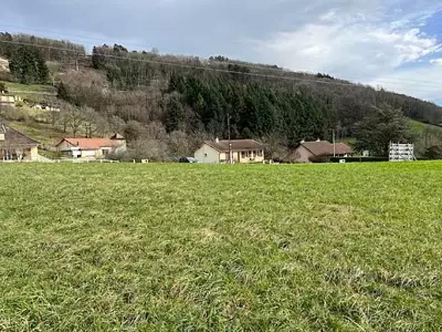 Coligny 01270 Achat / Vente terrain
