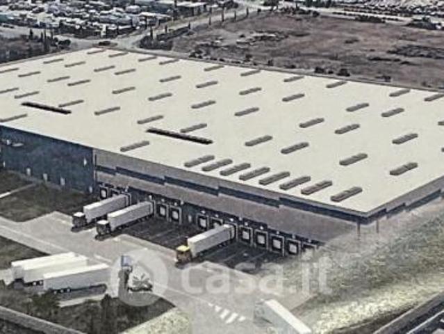 Collesalvetti affittasi capannone 13000 Mq