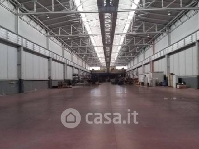 Collesalvetti affittasi capannone 5000 Mq