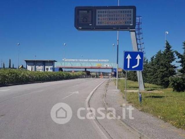 Collesalvetti vendesi terreno edificabile 44000 Mq
