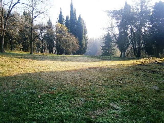 Colli Euganei ristorante e altro