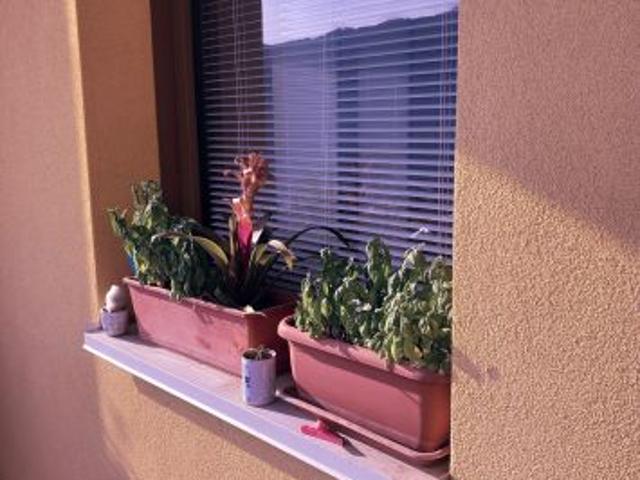 Collina MAGNIFICA con giardino