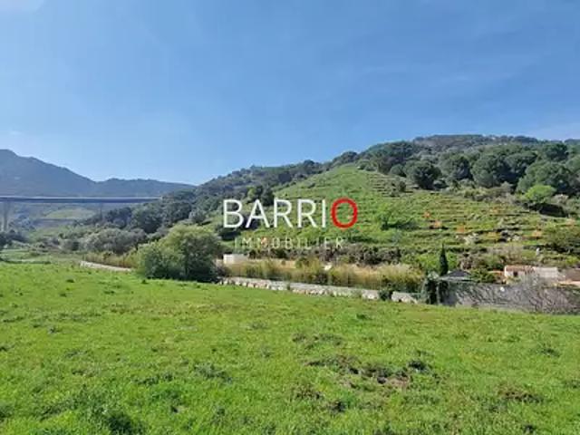 Collioure 66190 Achat / Vente terrain