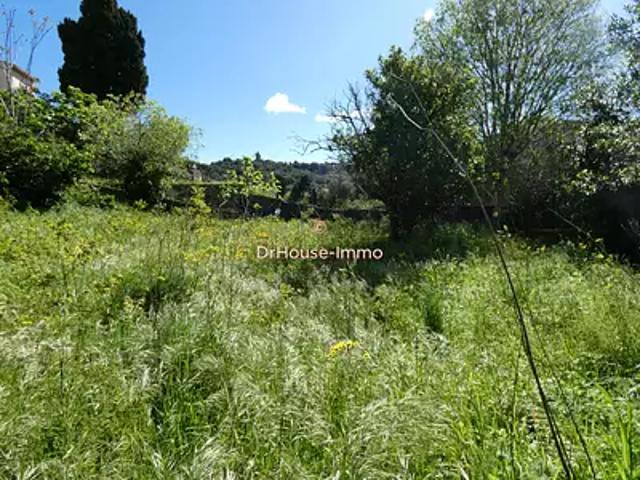 Collioure 66190 Achat / Vente terrain