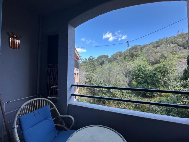 COLLIOURE, Hyper centre avec parking