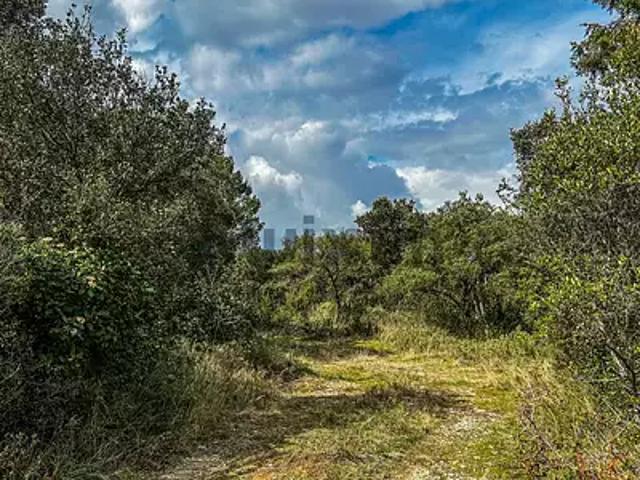 Collias 30210 Achat / Vente terrain